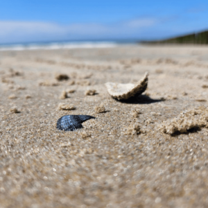 Van Hart tot Hart One Weekend Retreat